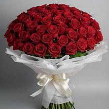Букет 101 Красная роза Блэк Мэджик в Красные Баррикады