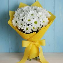 Букет цветов из:  Хризантемы в Красные Баррикады