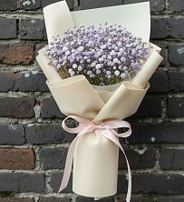 Букет цветов из:  Гипсофила в Красные Баррикады