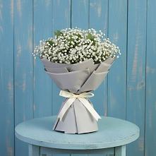 Букет цветов из:  Гипсофила в Красные Баррикады