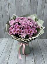 Букет цветов из:  Хризантемы в Красные Баррикады