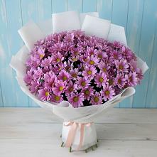 Букет цветов из:  Хризантемы в Красные Баррикады