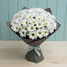 Букет цветов из:  Хризантемы #REPLACE_PRED# Красные Баррикады