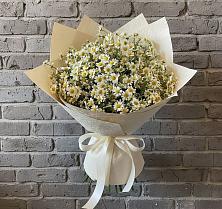 Букет цветов из:  Ромашки в Красные Баррикады