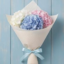 Букет цветов из:  Гортензия в Красные Баррикады