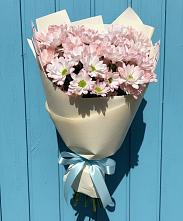 Букет цветов из:  Хризантемы в Красные Баррикады