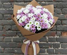 Букет цветов из:  Хризантемы в Красные Баррикады