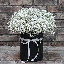Цветочная композиция из Гипсофила в шляпной коробке #REPLACE_PRED# Красные Баррикады