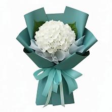 Букет цветов из:  Гортензия в Красные Баррикады